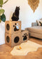 CARTON+ PETS Twins – Modulares Katzenhaus – 36 x 36 cm