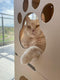 CARTON+ PETS Twins – Modulares Katzenhaus – 36 x 36 cm