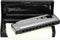 Cascha Mondharmonica Blues Bb