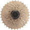 Cassette 10 speed Edge CSM6010 11-32T - zilver