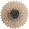 Cassette 9 speed Edge CSM5009 11-32T - zilver