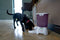 Cat Mate C3000 Automatische voerbak voor droogvoer voor huisdieren met digitale timer - voor katten en kleine honden - 3 kg - wit