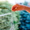 CAT NET XS- safety net XS 200 x h150 cm