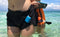 Catalyst Waterproof Case Apple Airpods Blueridge/Sunset