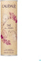 CAUDALIE - Caudalie The Des Vignes Eau Fraiche - 50 ml - eau de parfum