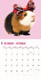 Cavia Studio Kalender 2025