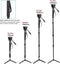 Cayer FP34DV Monopod - Professionele Aluminium Monopod met Vloeistofkop - Maximaal 71 Inch Hoog