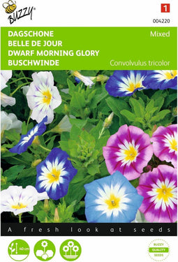 2 stuks - Buzzy - Convulvulus Gemengde Kleuren