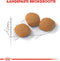 Royal Canin Protein Exigent - Kattenvoer - 400 g