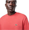 Lacoste Sweater - Regular-Fit - Rood - Maat S