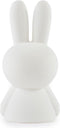 Mr Maria - Nijntje Star Light - 50 cm - LED lamp - dimbaar - Wit