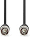 Nedis BNC-Videokabel - BNC Male - BNC Male - Vernikkeld - 75 Ohm - 2.00 m - Zwart