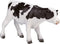 Mojo Farmland Holstein Kalf Staand - 387061