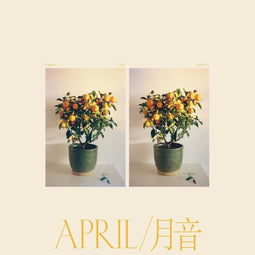 Emmy The Great - April (CD)