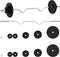 vidaXL - Halter - met - gewichten - 30 - kg - gietijzer - en - verchroomd - staal