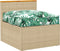 vidaXL - Palletkussen - voor - Zitplaats - Bladpatroon - 70x70x12 - cm - Oxford - Stof
