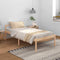 vidaXL - Seniorenbed - massief - grenenhout - 100x200 - cm