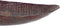 Middenstuk 63 x 15 x 11 cm Aluminium Brons