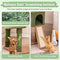 SureDeal® - Cactus Krabpaal - 160 cm - Pluche - Sisal - 4 Niveaus - Groen/Bruin - Anti-kantelband
