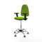 Piqueras y Crespo B2D05RT - Bureaustoel - Hoogteverstelbaar met armleuning - Pistache