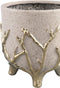 PTMD Quin Cream Ceramic Pot Gold Branches Base Low L