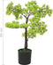 vidaXL - Kunstplant - met - pot - cipres - bonsai - 60 - cm - groen