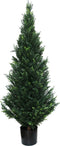 Cedar 152 cm