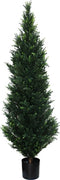 Cedar 182 cm