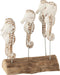 J-Line decoratie Zeepaard 5 Op Voet - hout - wit/naturel