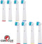 Cenocco Beauty Cenocco Cc-9029: 8-Delige Vervangende Opzetborstels