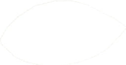 Centrum 24 Rol Clear tape 19x33mm Centrum 80153