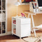 SoBuy ASK05-W - Printerkast - 2 Laden - Wit