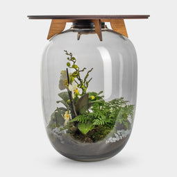 Ceres Orchid- Terrarium tafel - 45cm