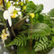Ceres Orchid- Terrarium tafel - 45cm