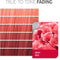 Semi-Permanente Kleur Color Fresh Create Next Wella Rood (60 ml)