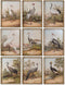 Schilderij DKD Home Decor Orientaals Reiger 45 x 3 x 60 cm (9 Stuks)