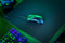 Razer DeathAdder V3 - Gaming Muis - 30.000 DPI - Ultralicht - Zwart