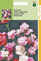2 stuks - Hortitops - Dianthus Plum. Dbl.Bl.Gem. Spring Beauty