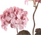 PTMD Gedroogde Hortensia Droogbloem - 43x23x77 cm - Kunststof - Roze