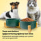 Jake & Jacky Voerbak Hond en Kat Keramiek - Dubbele Eetbak met Standaard - 2x 800 mL - Groen (2 stuks)