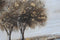 Schilderij Home ESPRIT Bomen Cottage 80 x 3 x 80 cm (2 Stuks)