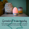 Tommee Tippee Groegg2 - digitale kleurwisselende thermometer en nachtlampje voor in de babykamer - USB-aansluiting - digitale temperatuurweergave
