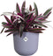 Elho Jazz Rond 23 Bloempot - 100% Gerecycled Plastic - Ø 23.1 x H 21.5 cm - Lavendel lila