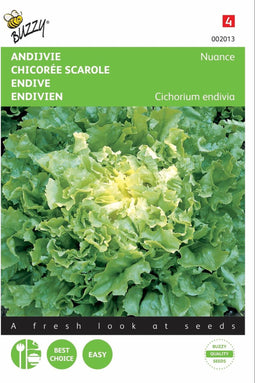 2 stuks - Buzzy - Andijvie Nuance