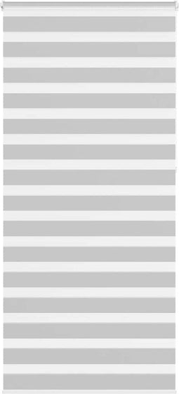 vidaXL - Zebra - rolgordijn - 100x230 - cm - stofbreedte - 95,9 - cm - lichtgrijs