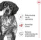 Royal Canin Medium Adult - Hondenvoer - 4 kg - Voor middelgrote honden (11-25 kg)