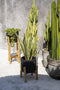 Charcoal Lage Plantenbak - Zwart