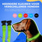 Dutchwide Lichtgevende Halsband Hond - Verstelbaar - Reflecterend - Groen - M 37 cm tot 46 cm