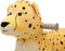 Cheetah Loopfiets Van Rollzone