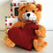 Cherry Belly® Knuffel Kat Kersenpitkussen - Wasbaar - The ONLY Original